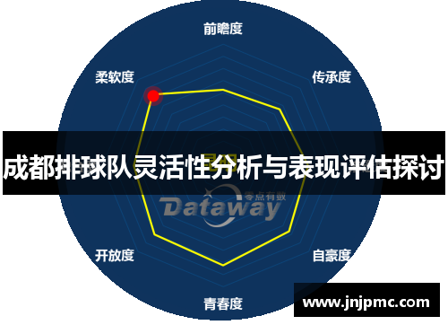 成都排球队灵活性分析与表现评估探讨